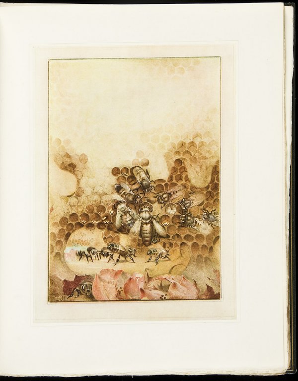 Life of the Bee illust by Ed Detmold rebound 1911: Title: The Life of the Bee Author: Maeterlinck, Maurice Description: Translated by Alfred Sutro. Illustrated by Edward Detmold with 7 (out of 13) mounted color plates. 10¾x8½, rebound in green moroc