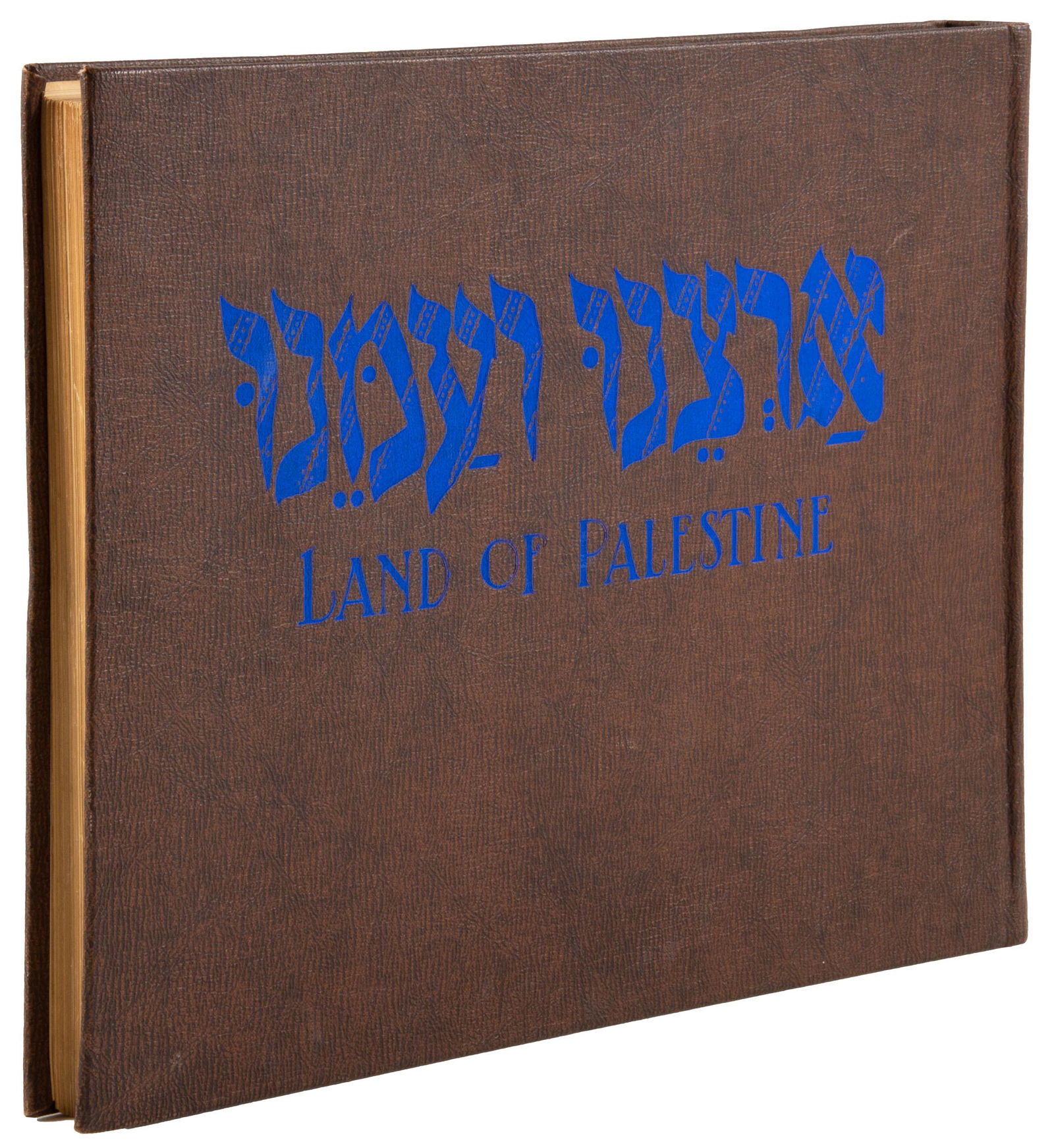 Saul Raskin's thanksgiving to Israel (1 of 1)