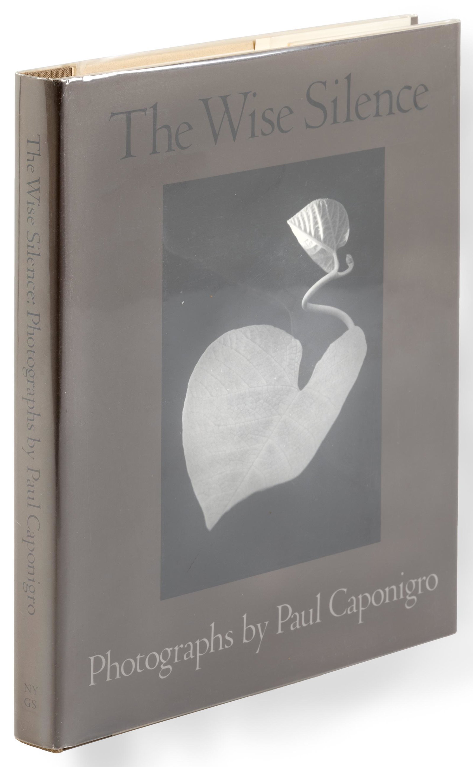 Paul Caponigro's Wise Silence signed: Heading: Author: Caponigro, Paul Title: Paul Caponigro: the Wise Silence Place Published: New York / Boston Publisher:New York Graphic Society / Little Brown Date Published: 1983 Descr