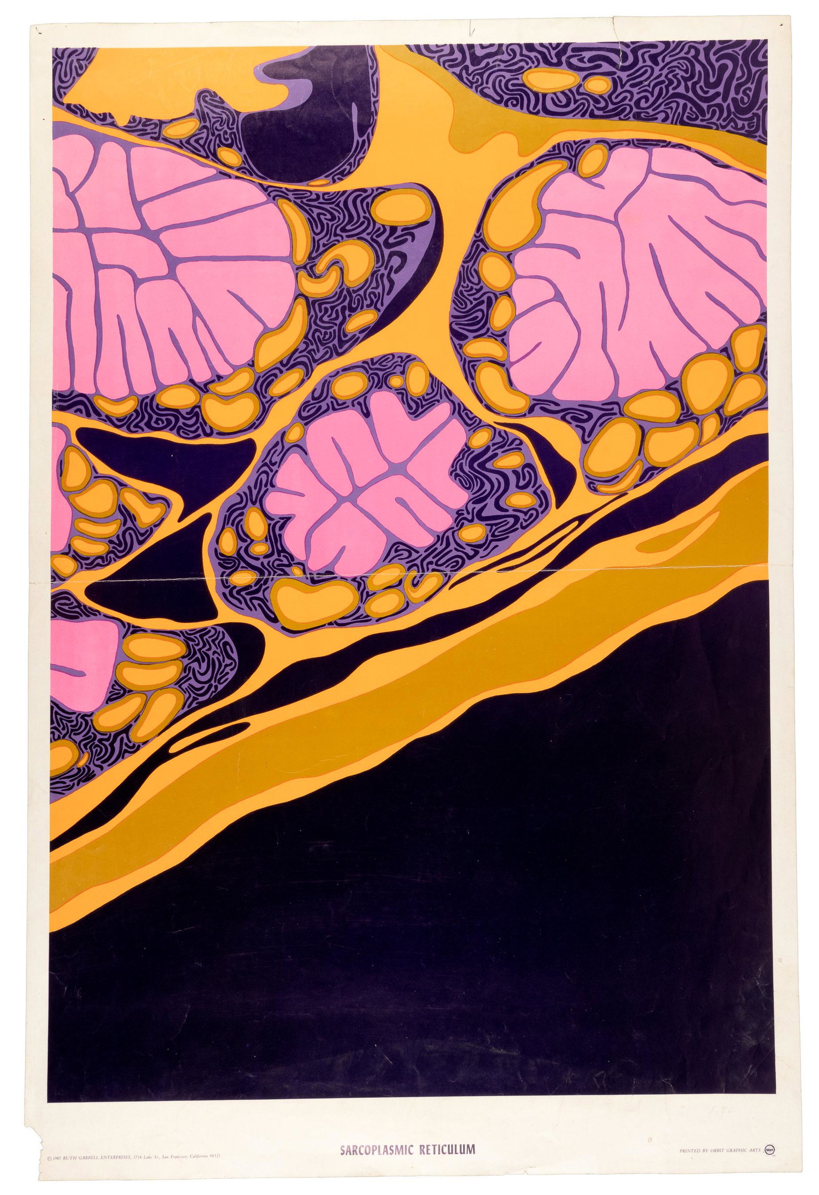 Two psychedelic posters from 1967: Heading: (Posters - Psychedelic) Author: Garbell, Ruth; Greg Boop Title: Sarcoplasmic Reticulum [with] Fantasies of Invention Place Published: San Francisco; Corte Madeira, CA Publisher:Orbit Graphic 