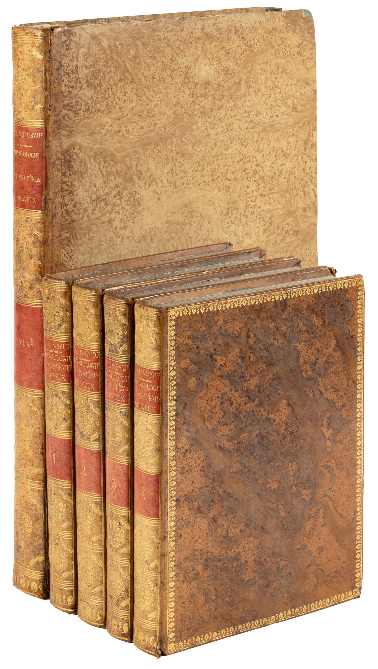 F.J. Gall advances science and phrenology (1 of 13)