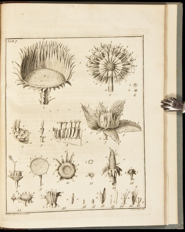 Essai sur l'Histoire Naturelle de la Mer Adriatiq: Title: Essai sur l'Histoire Naturelle de la Mer Adriatique Author: Donati, Vitaliano Description: [2], iv, 73, [5] pp. 11 engraved plates. [Bound with]: Franc van Berkhey, Jan le. Expositio Characteri