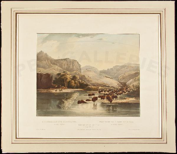 Carl Bodmer Herds of Bisons and Elk: Title: Herds of Bisons and Elks on the Upper Missouri (from Travels in the Interior of North America. Tab. 47) Author: Bodmer, Carl Description: Engraved by Charles Vogel. Hand-colored aquatint, image