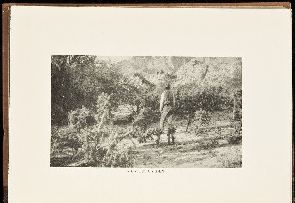 Marin County in 1870's by William Kent: Title: Reminiscences of Outdoor Life Author: Kent, William Description: [iii]-xii, 305 pp. Foreword By Stewart Edward White. With original silver print frontispiece of Mount Tamalpais; 12 halftone pla
