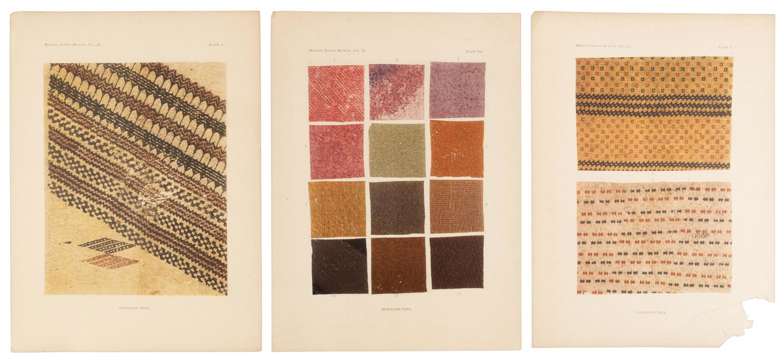 Ka Hana Kapa. The Making of Bark-Cloth in Hawaii (1 of 5)