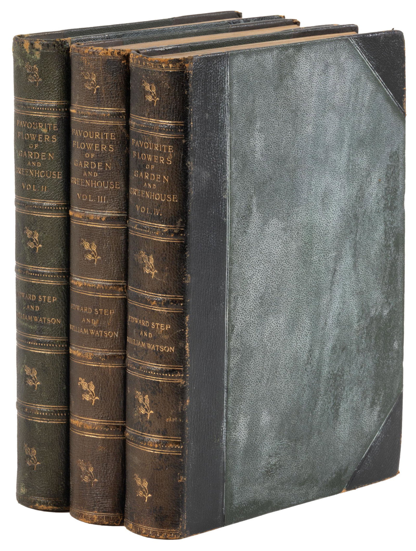 With 218 color plates of garden flowers: Heading: Author: Step, Edward Title: Favourite Flowers of Garden and Greenhouse Place Published: London Publisher:Frederick Warne & Co. Date Published: 1897 Description: 3