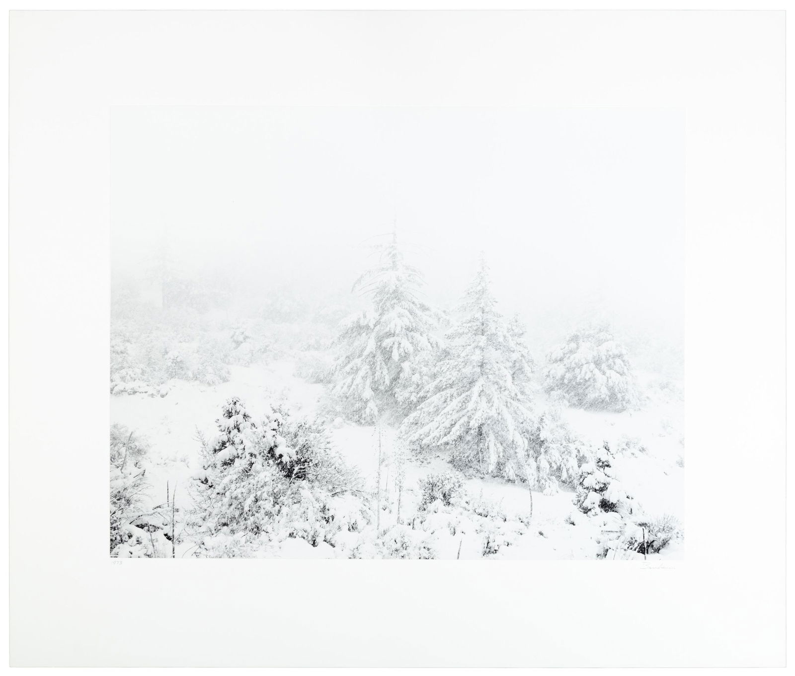 Pines in Snowstorm signed by Bruce Barnbaum (1 of 2)