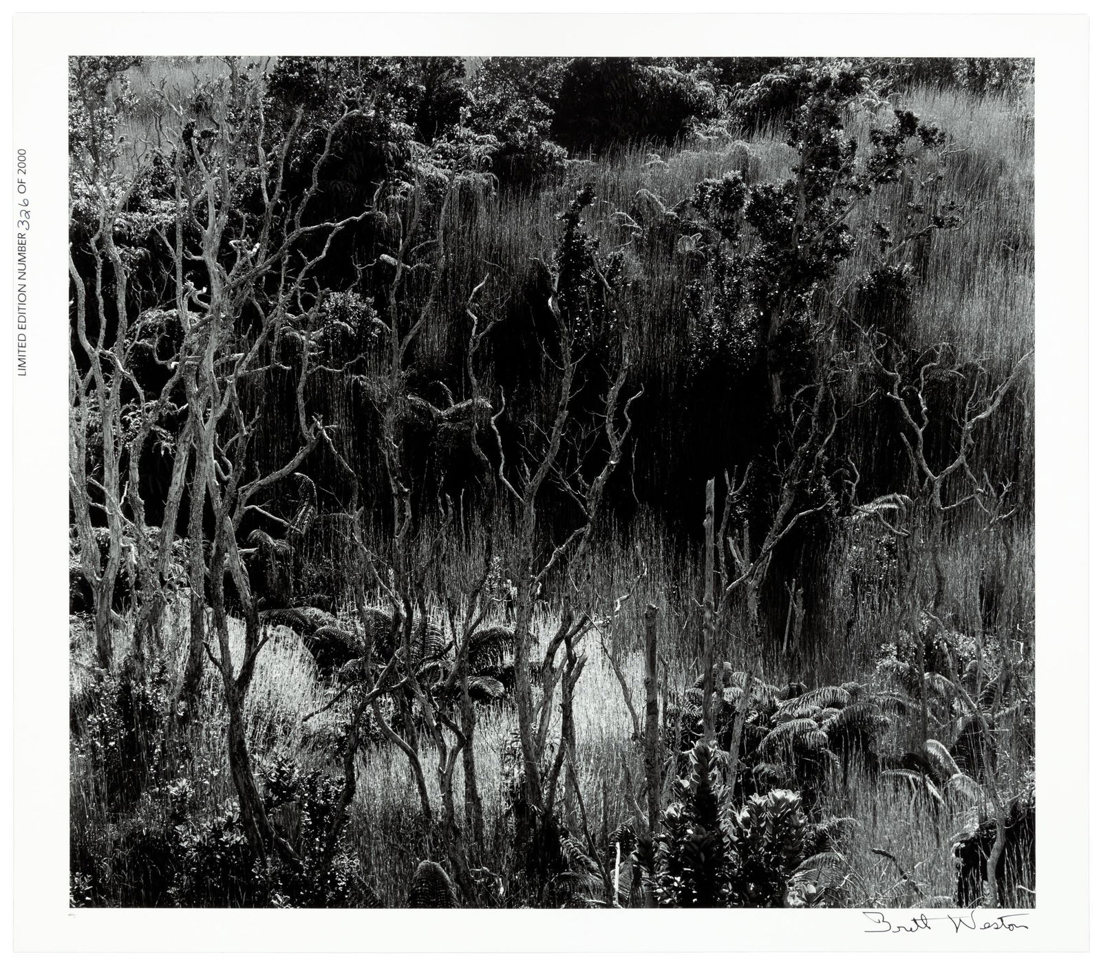 Signed by Brett Weston (1 of 2)