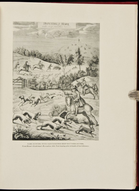 Hounds & Hunting Through the Ages Derrydale 1929: Title: Hounds and Hunting Through the Ages Author: Thomas, Joseph B. Description: xviii, [2], 272 pp. With an introduction by The Earl of Lonsdale. Illustrated with plates from drawings, photographs, 