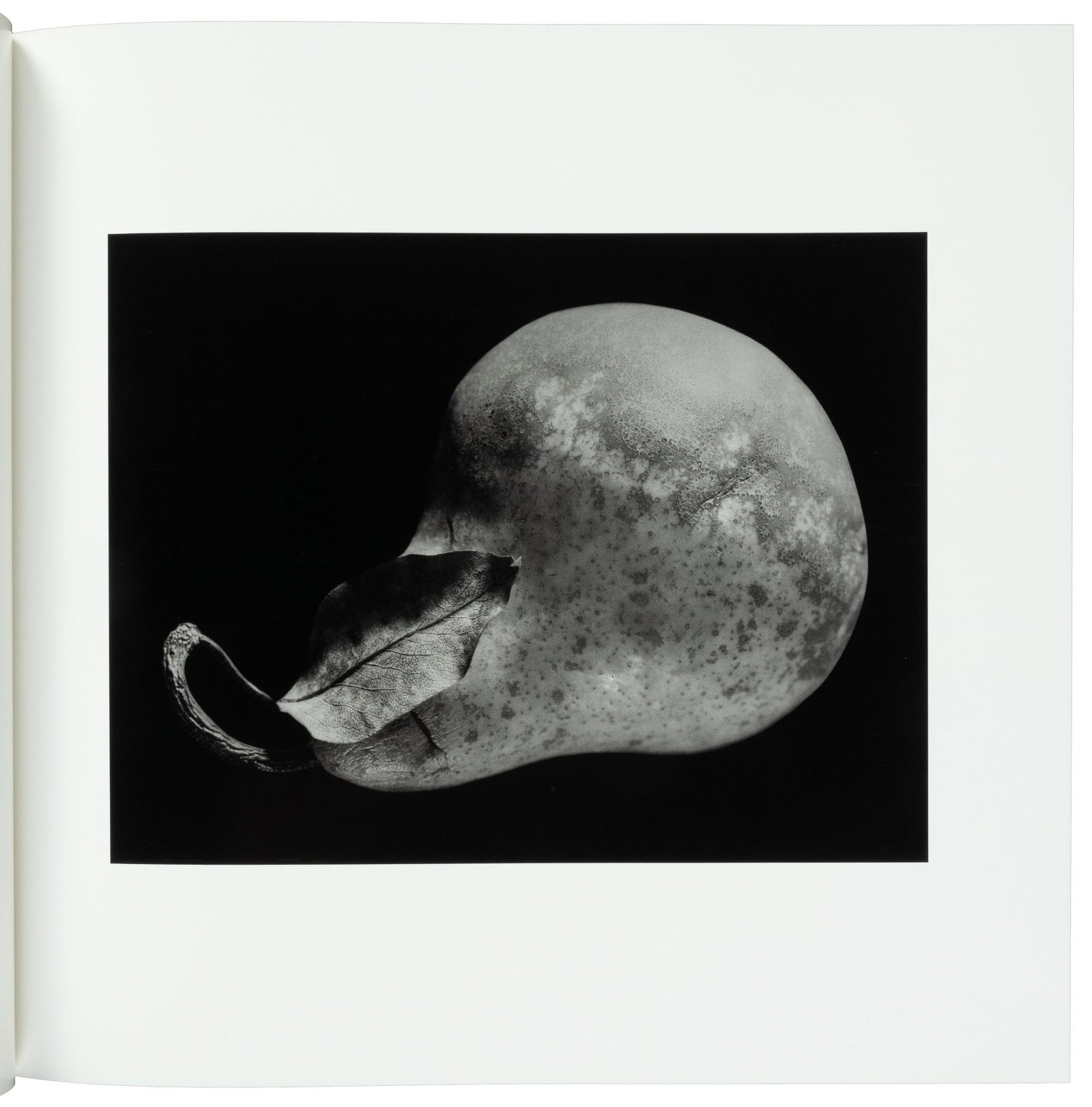 Paul Caponigro: Masterworks De Luxe Edition - Signed: Heading: Author: Caponigro, Paul Title: Paul Caponigro: Masterworks from Forty Years Place Published: Carmel, CA Publisher:Photography West Graphics Date Published: 1993 Description: <