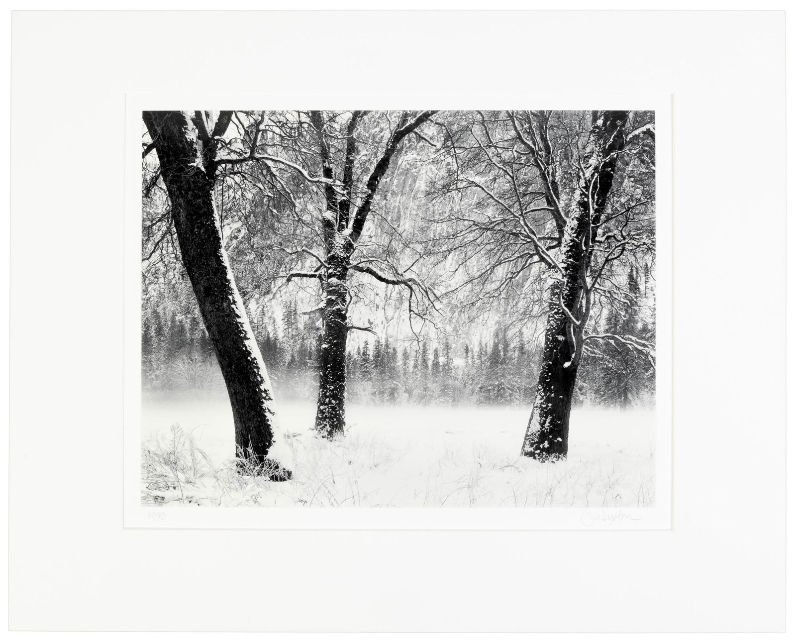Forest with Blown Snow...signed by John Sexton: Heading: Author: Sexton, John Title: Winter Trees, Fog, Yosemite Valley, California Place Published: Carmel Valley, CA Publisher: Date Published: 1990; print: 2001 Description:
