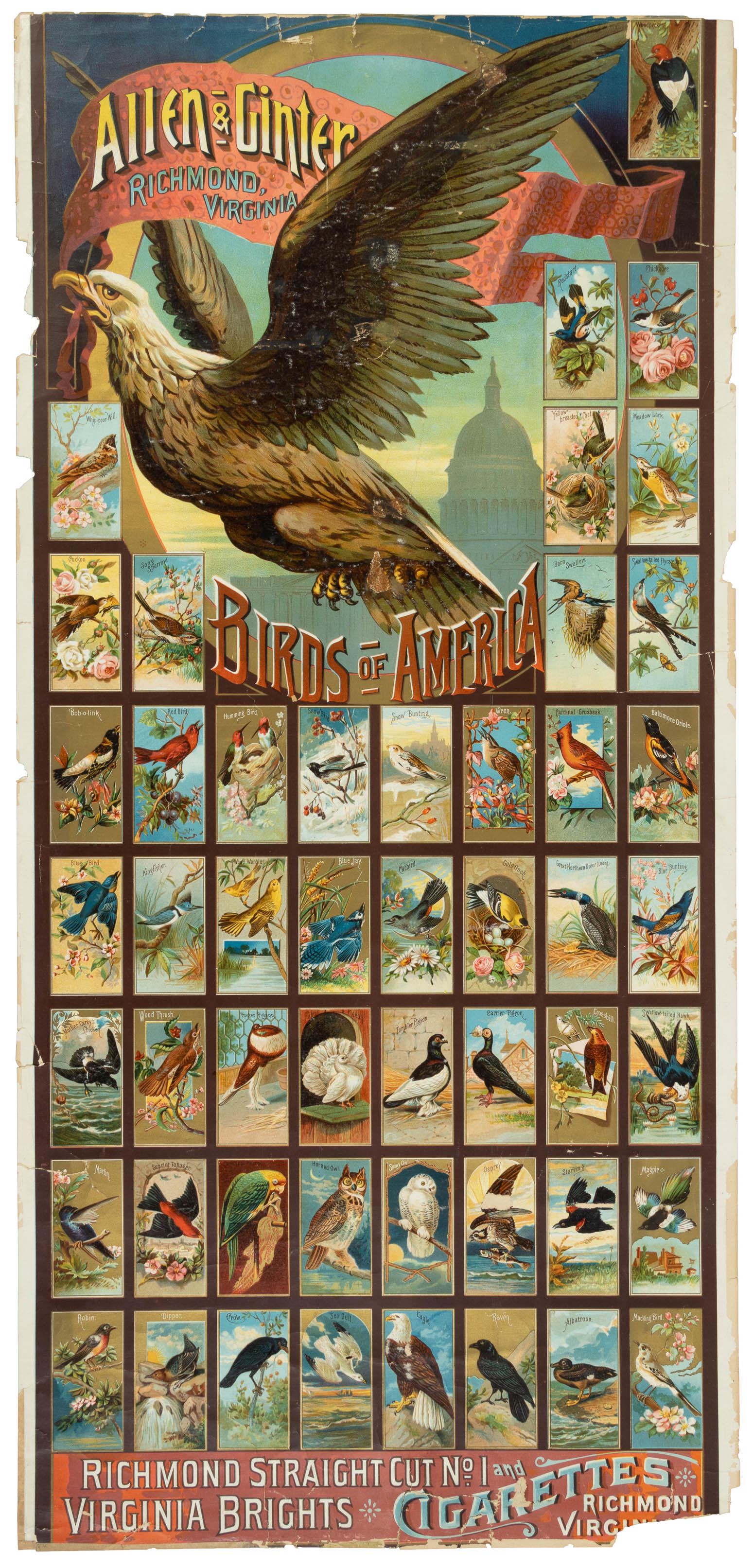 Birds of America Richmond Cigarettes Poster (1 of 2)