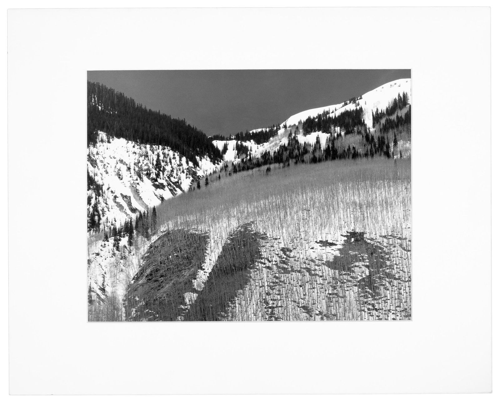 Bare Aspens Near Silverton signed by Byers (1 of 2)