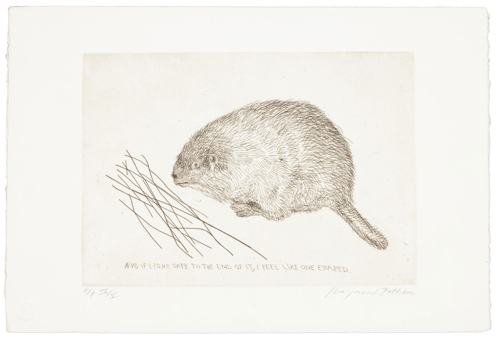 Signed by Raymond Pettibon, artist's proof (1 of 3)