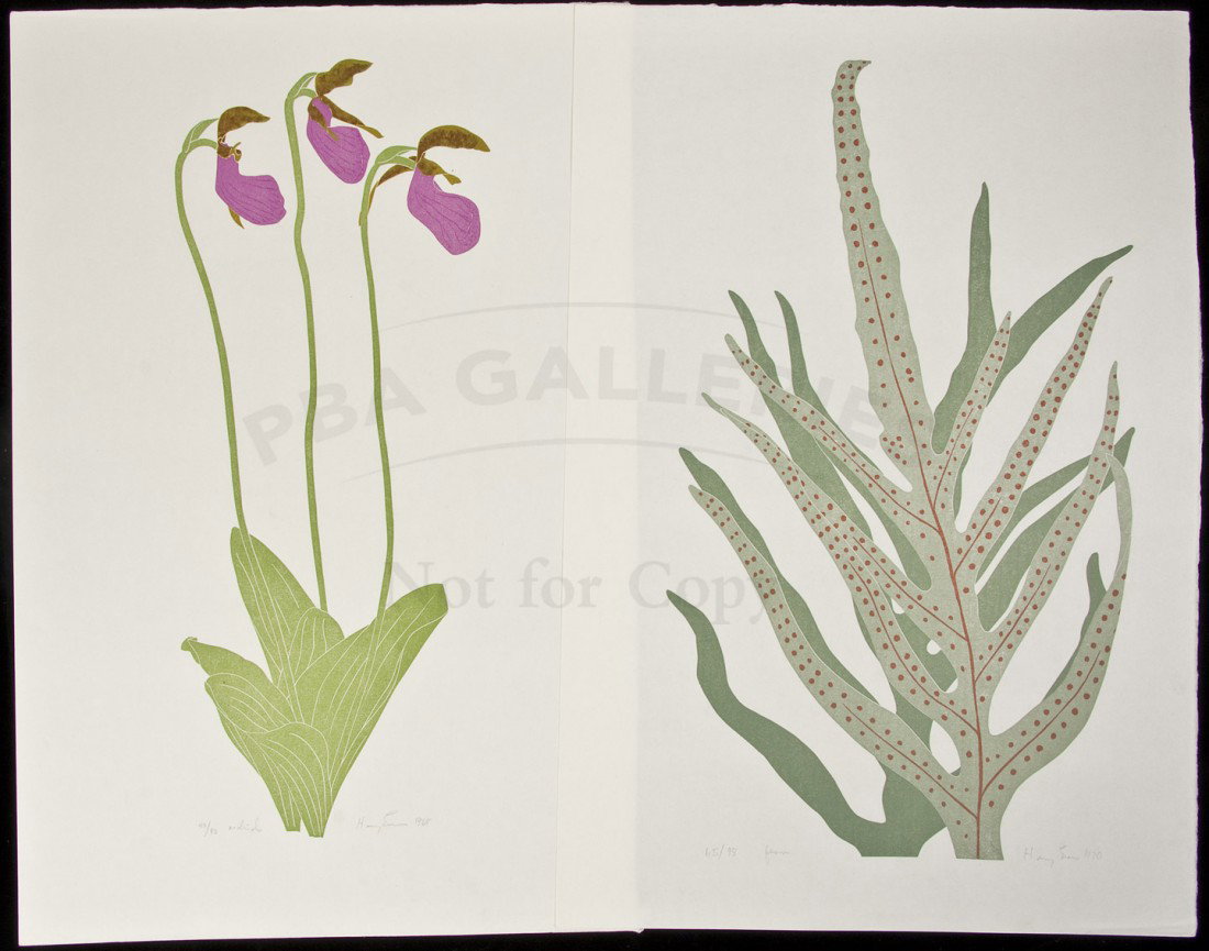 Henry Evans Linocuts of Flowers signed limited: Title: Lot of 9 Linoleum-Block Prints of grapes and other botanical subjects, each signed, titled and numbered in pencil Author: Evans, Henry Description: Includes: Pinot Blanc. 26/75. 1969. * Orchids