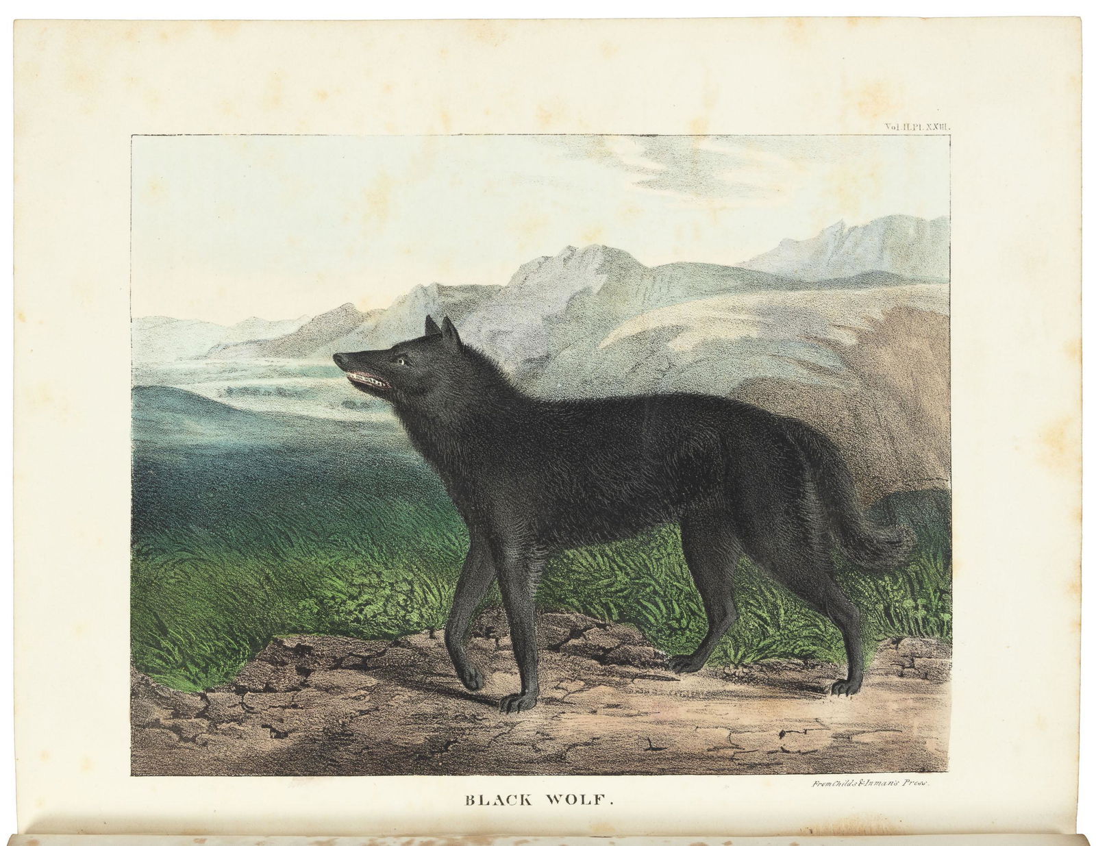 First American sporting book with color plates (1 of 10)