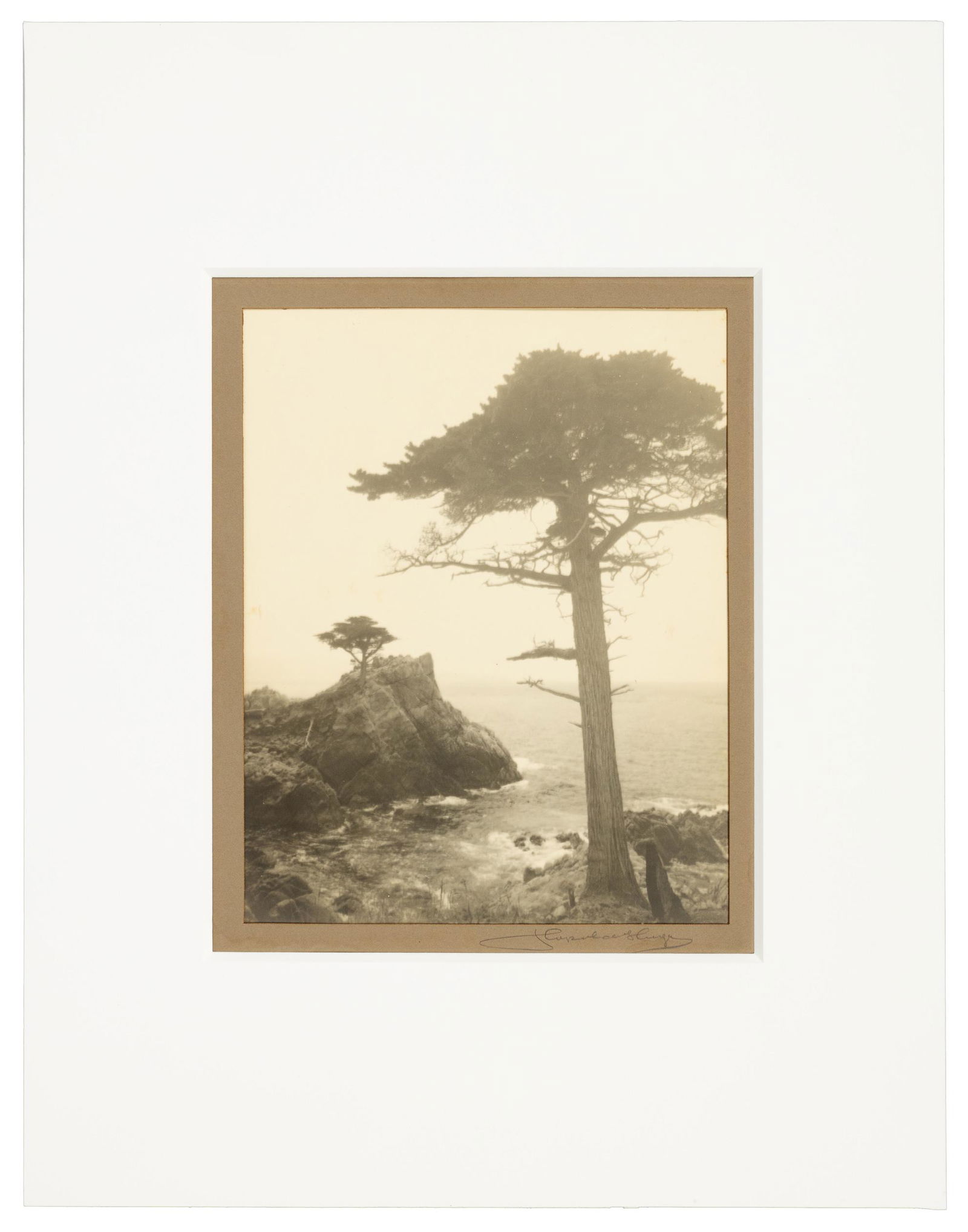 Lone Cypress signed by Leopold Hugo (1 of 2)