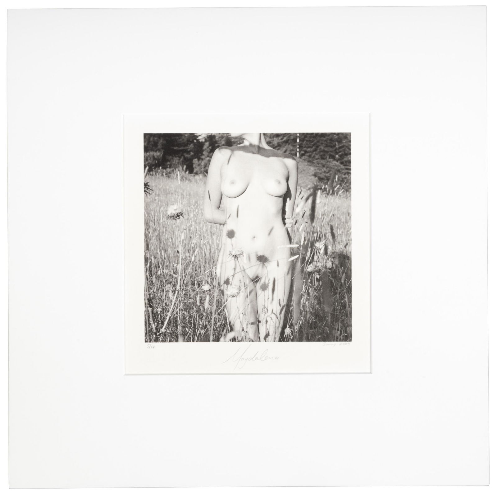 Ten platinum/palladium nudes by Magdalena: Heading: Author: Magdalena [Michelle Magdalena Maddox] Title: Divine Feminine: Limited Edition Platinum Palladium Collection Place Published: Monterey, CA Publisher: Date Published: D
