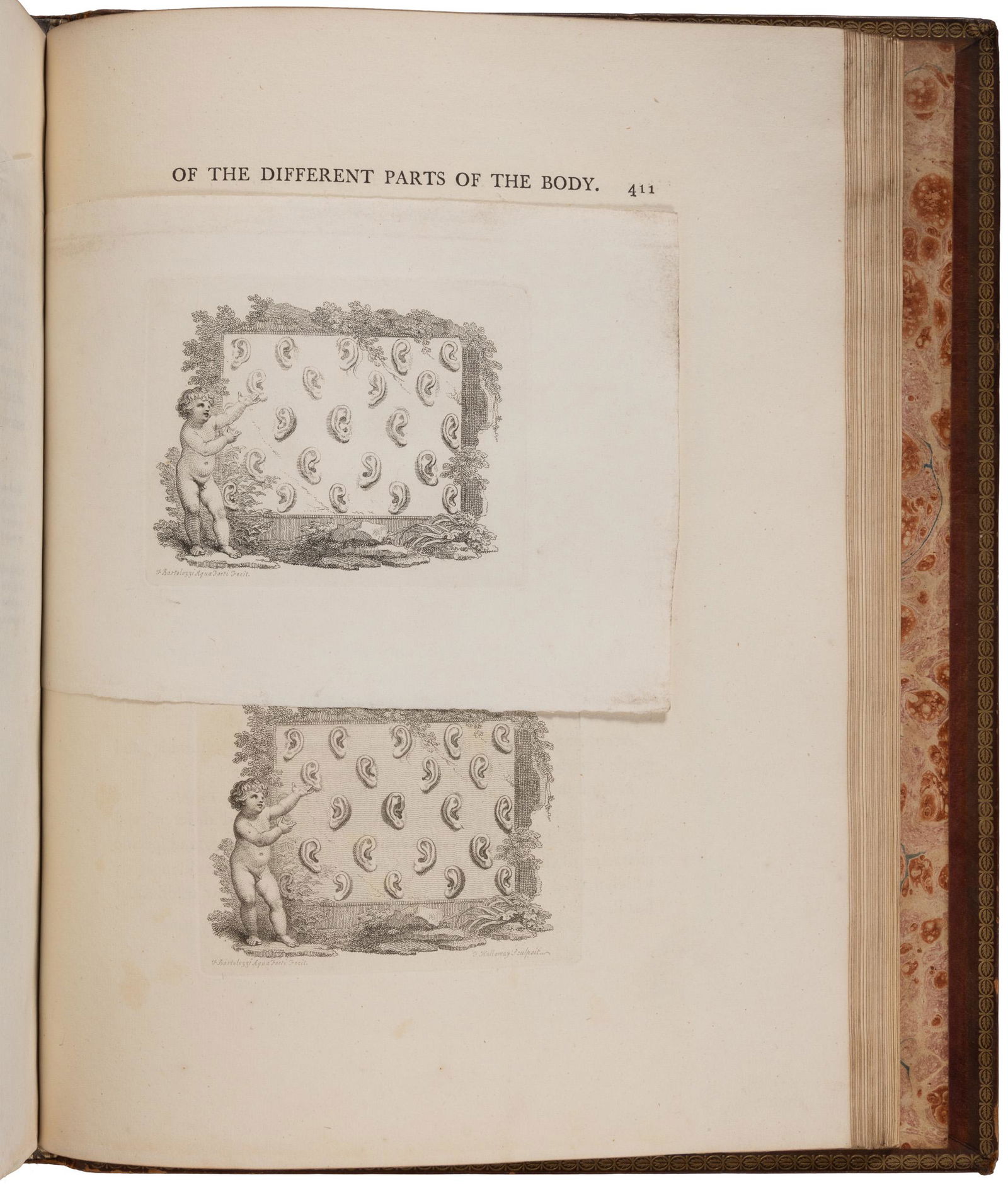 Well-bound and preserved set of Lavater: Heading: Author: Lavater, Johann Casper Title: Essays on Physiognomy, Designed to Promote the Knowledge and the Love of Mankind. Place Published: London Publisher:Printed for John Murray; H. Hunter;