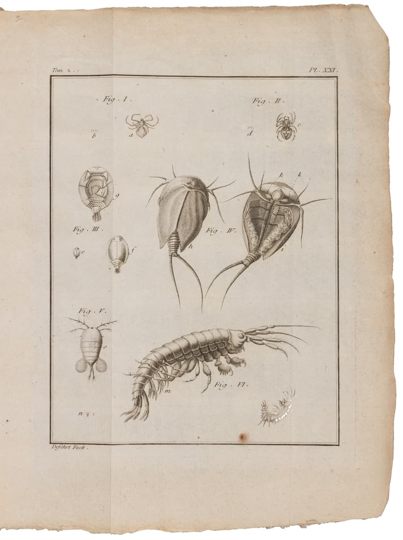 French entomological study w/ 22 engraved plates (1 of 6)