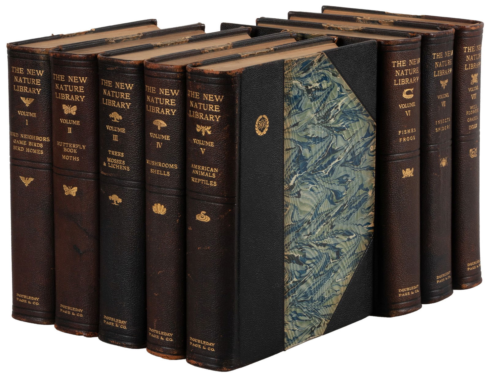 Eight volume natural history set (1 of 8)
