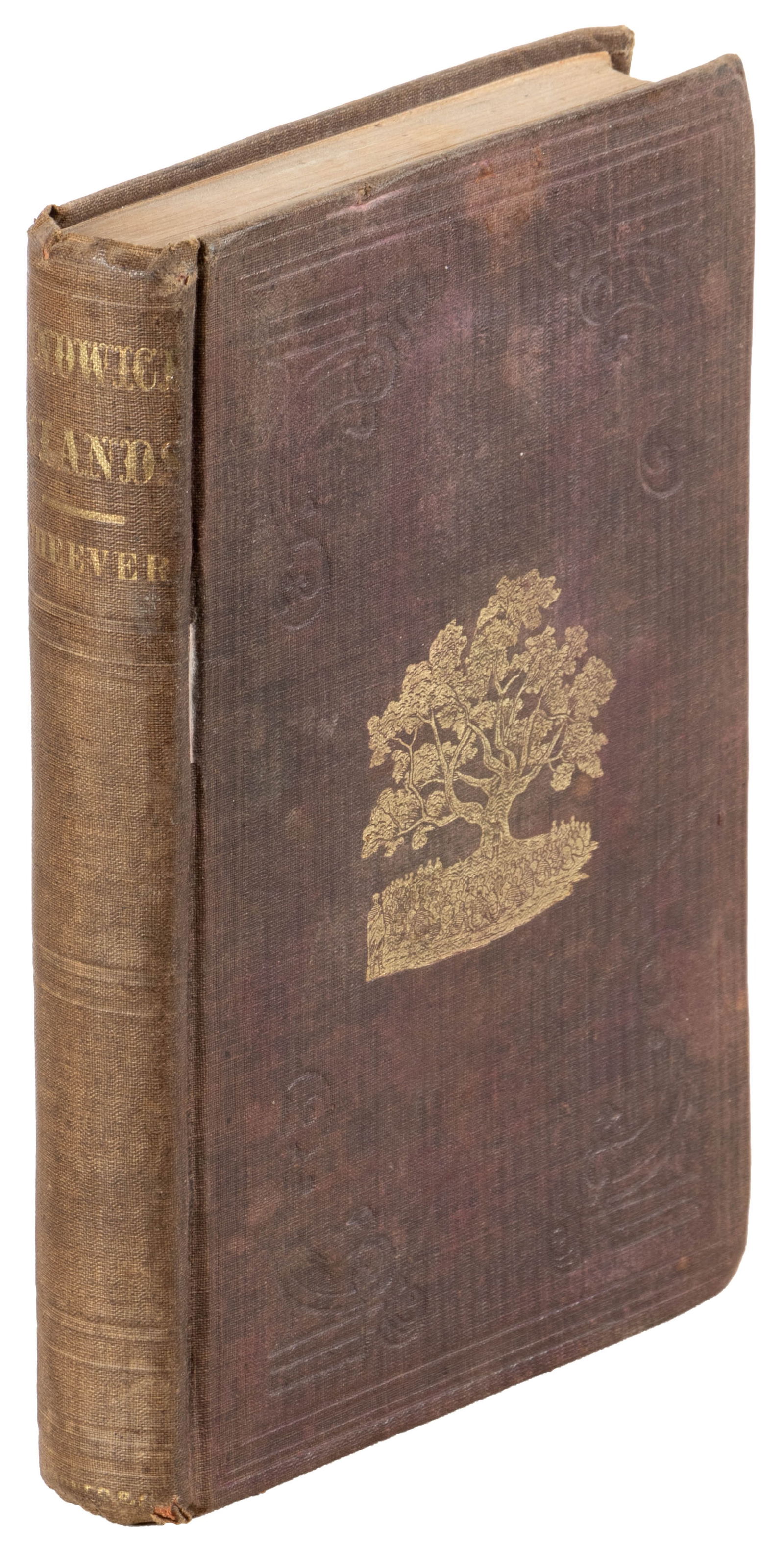 With early illustration of Surfing, Hawaii 1851 (1 of 5)