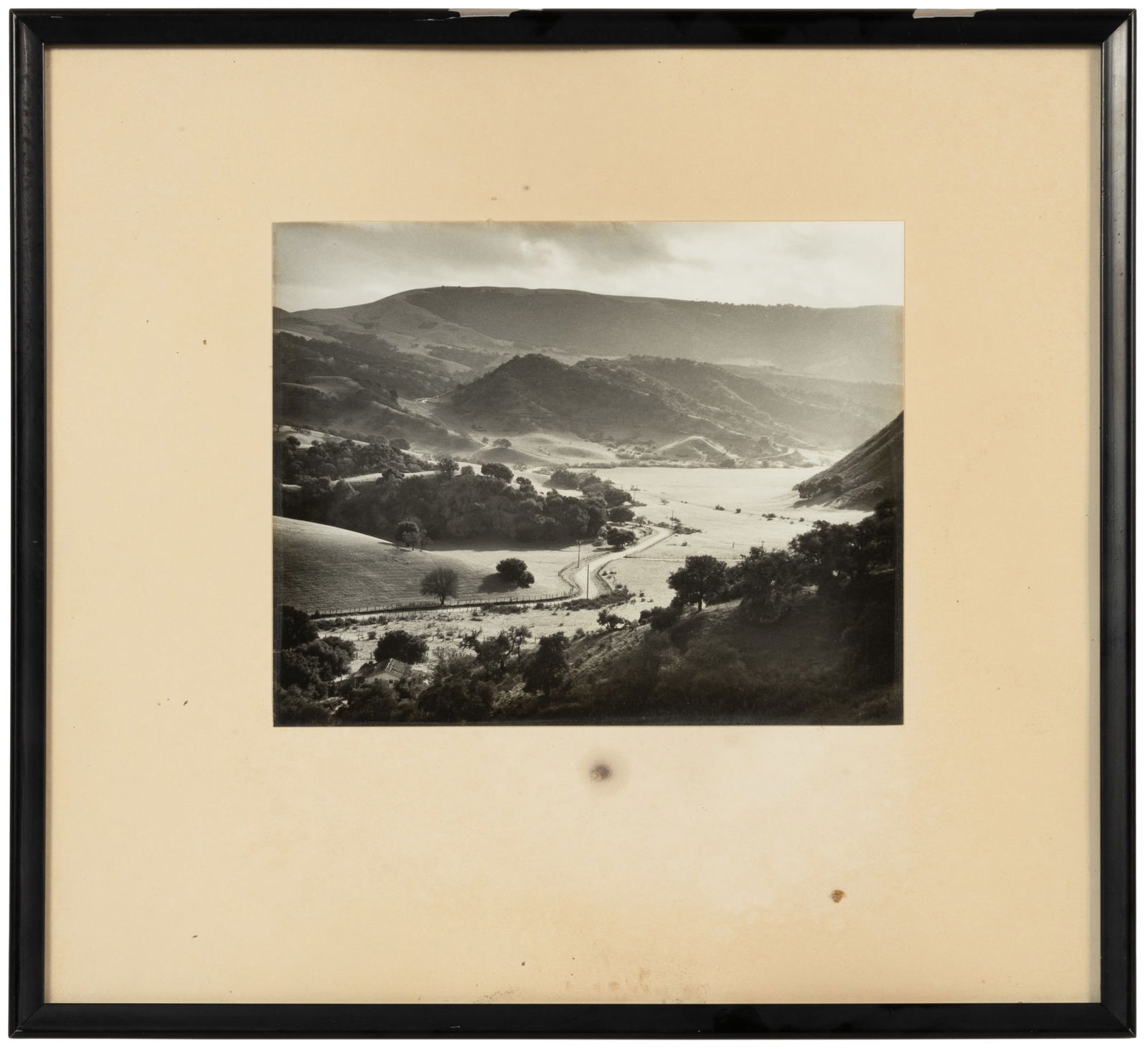 Photo from the Steinbeck Estate (1 of 2)