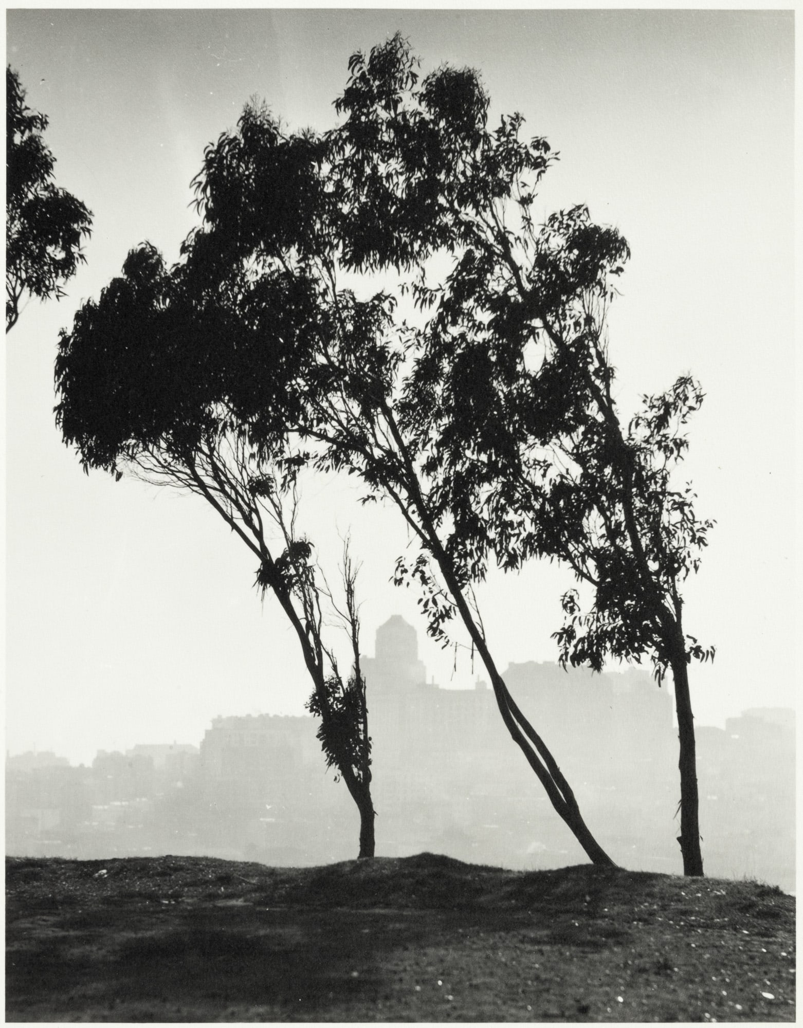 Dassonville S.F. from Telegraph hill (1 of 3)