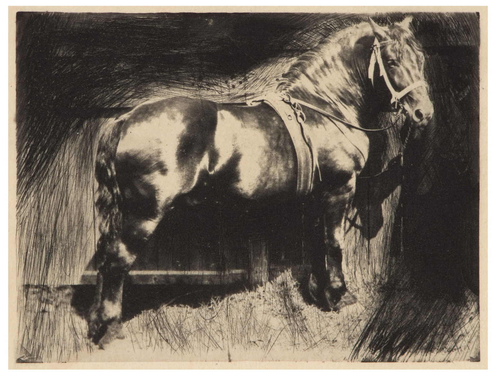 Frank Eugene Horse, 1910 (1 of 3)