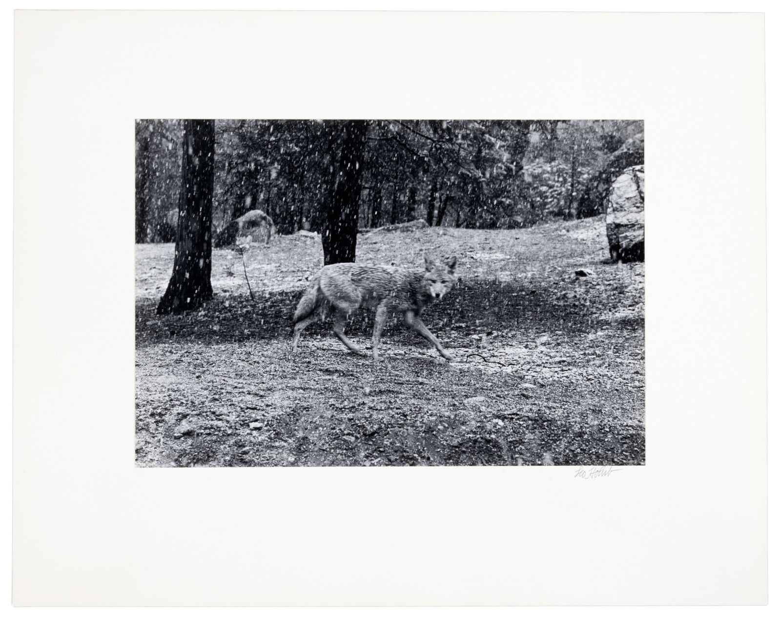 Yosemite signed by Leo Holub (1 of 3)