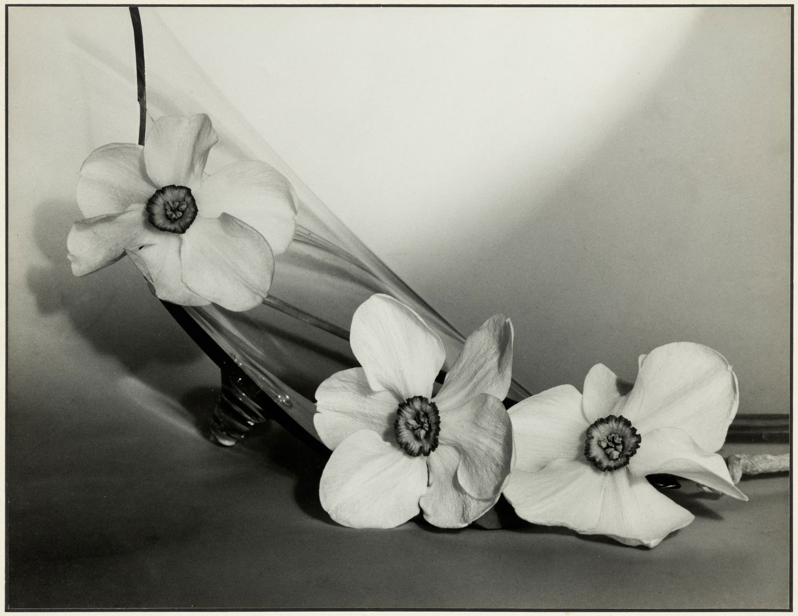 Still Life Flowers, signed by H.G. Wood (1 of 5)