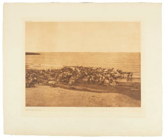 Reindeer â€“ Nunivak, Edward S. Curtis photogravure