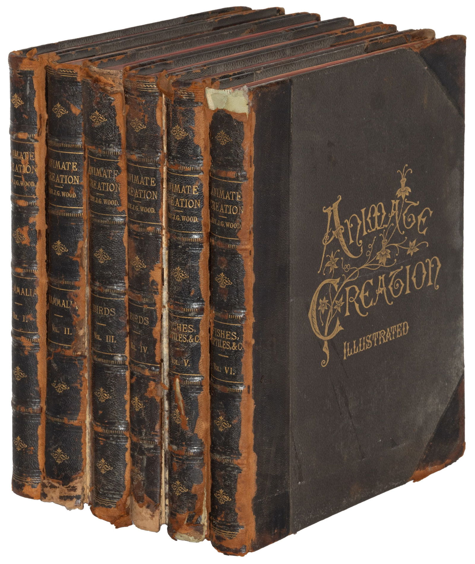 Animate Creation with chromolithographs (1 of 8)