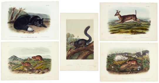 Nearly complete set of plates from Vol. III Quad Quarto