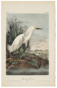 Blue Heron, Audubon Royal Octavo hand-colored lithograph