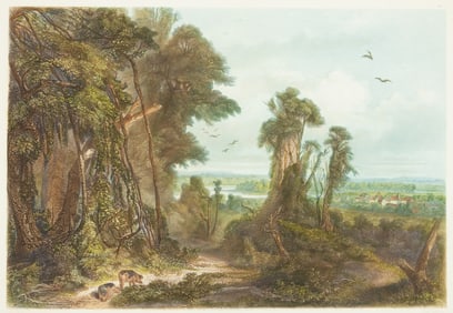 Bodmer aquatint of New Harmony, Indiana