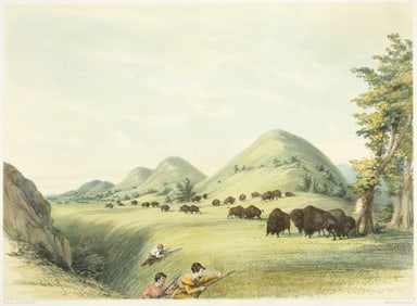 Buffalo Hunt, Approaching a Ravine Catlin litho