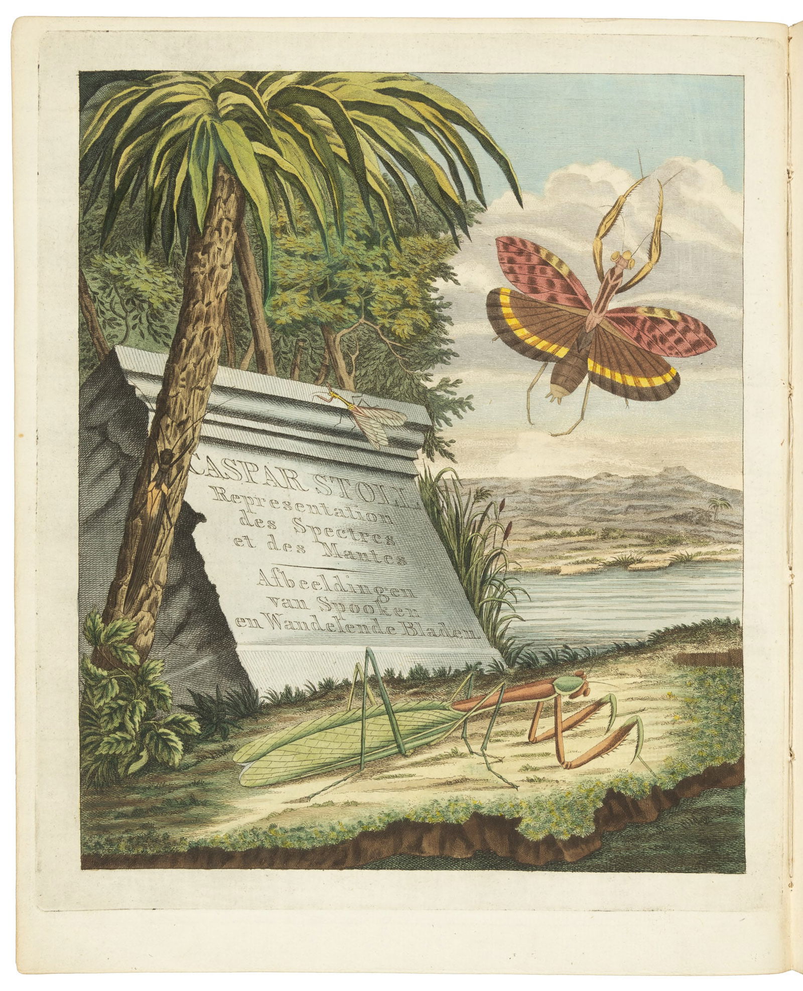 Caspar Stoll's study of stick insects, 70 plates (1 of 11)