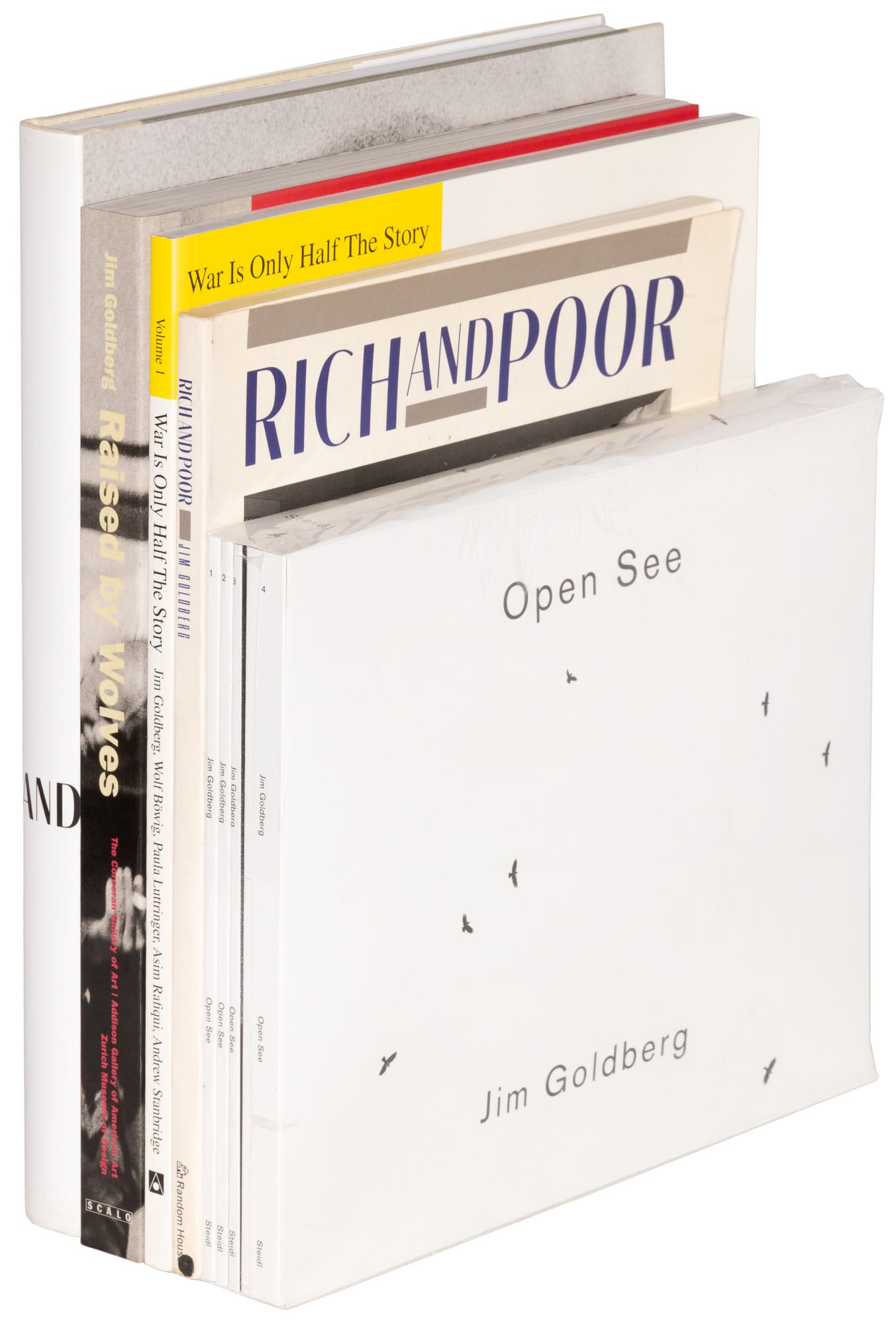 5 photo books by Jim Goldberg: Heading: Author: Goldberg, Jim Title: Five photography monographs by Jim Goldberg Place Published: Publisher: Date Published: 1985-2013 Description: 5 volumes. Each in publisher's