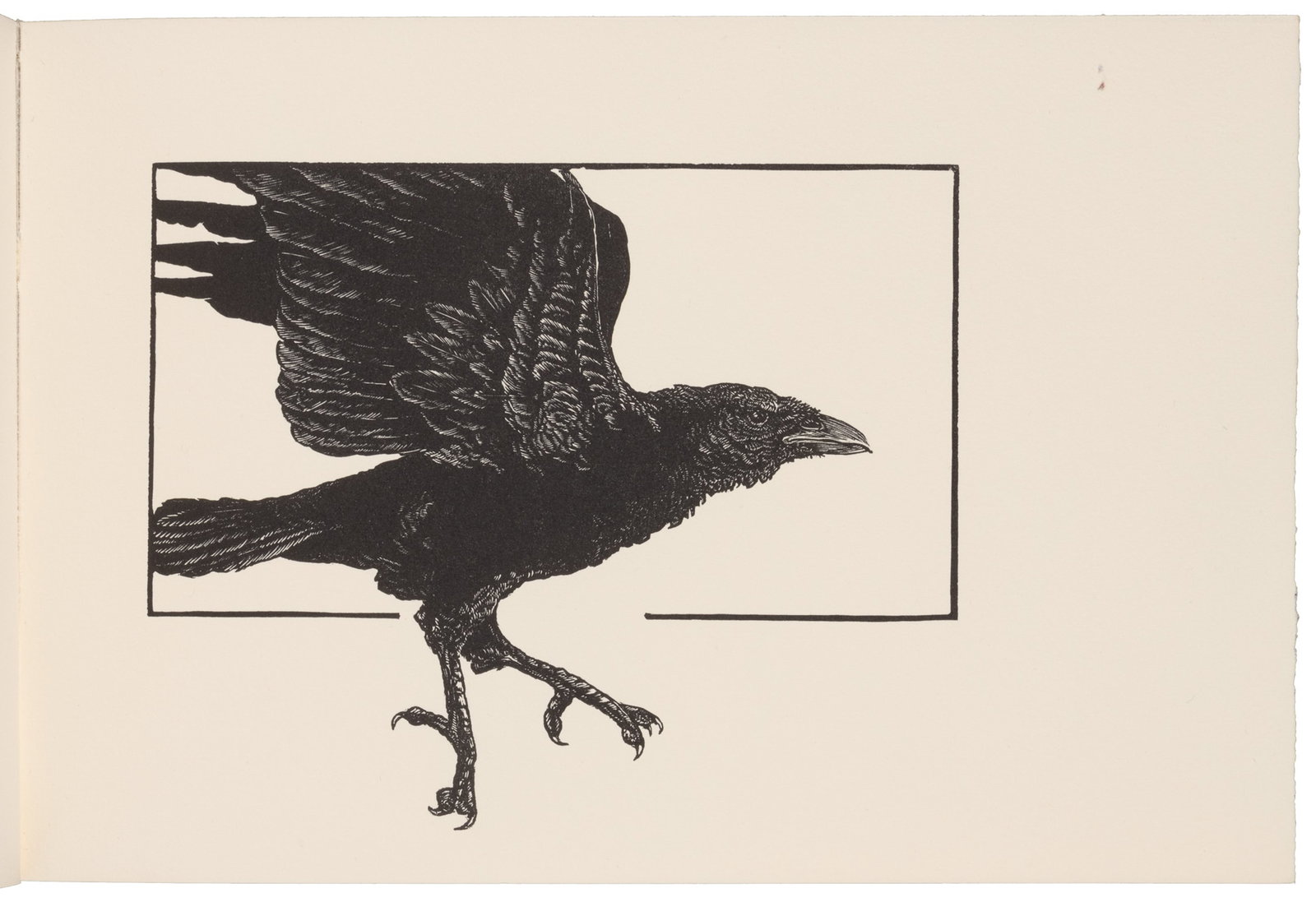Cheloniidae Press: Poe's Raven: Heading: (Cheloniidae Press) Author: Poe, Edgar Allan Title: The Raven Place Published: Easthampton, MA Publisher:[Cheloniidae Press] Date Published: [1986] Description: Unpaginated
