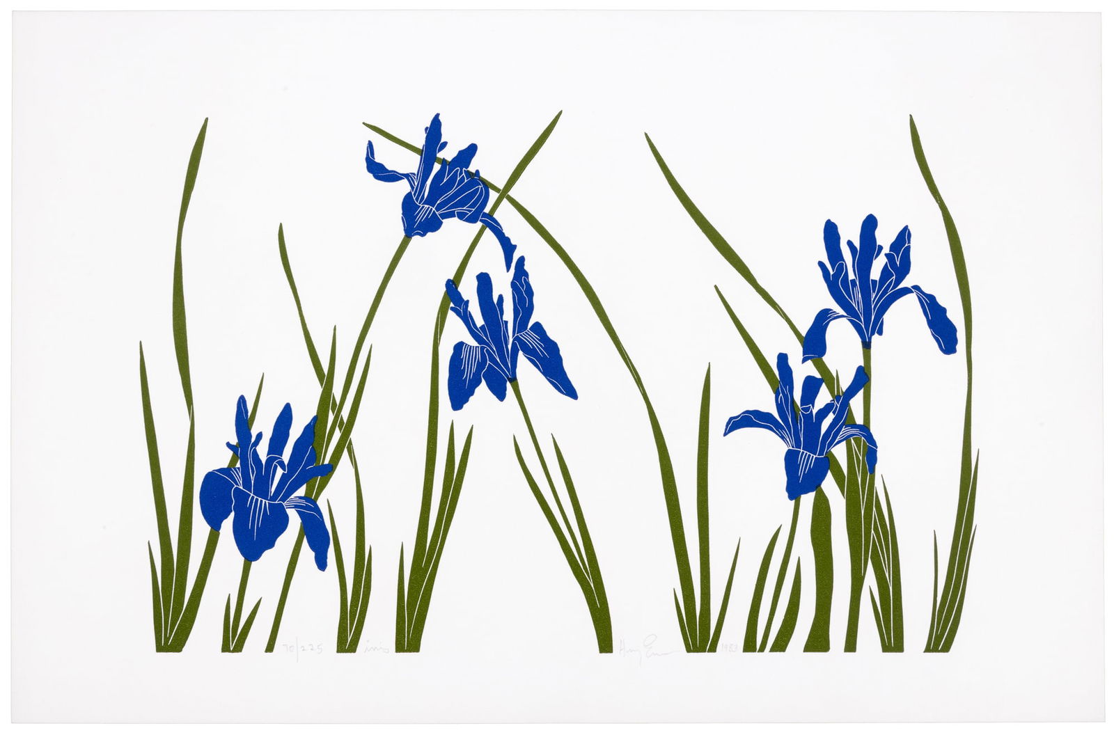 Iris, signed by Henry Evans (1 of 2)