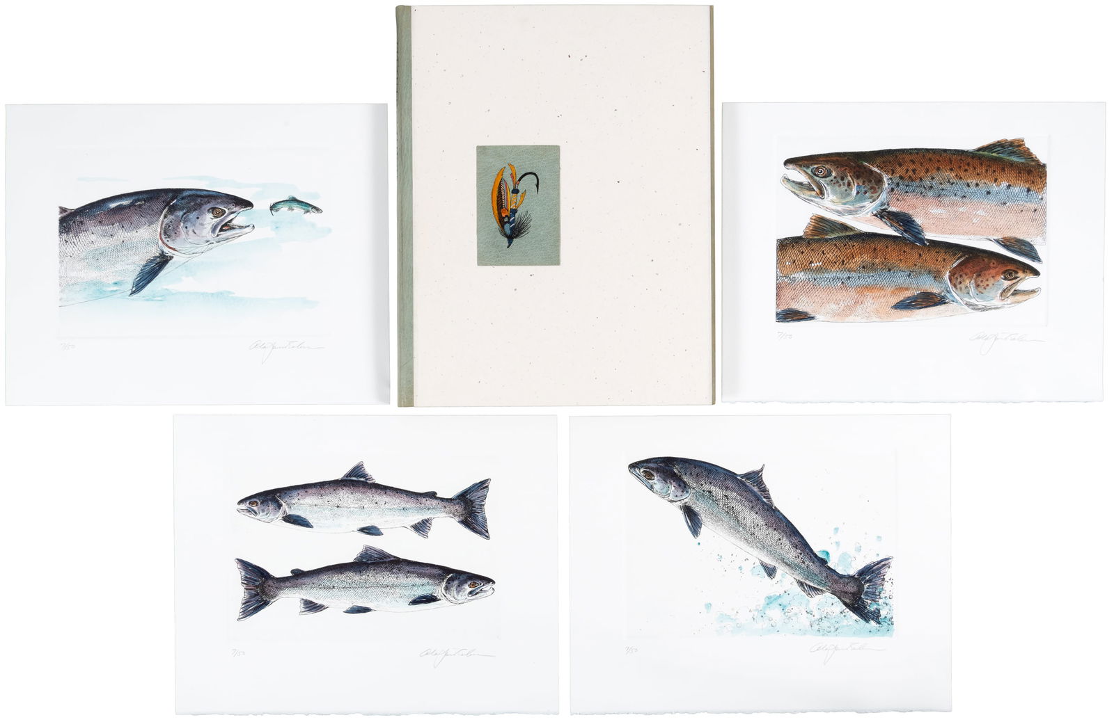 Deluxe copy with extra watercolor and suite of prints (1 of 9)