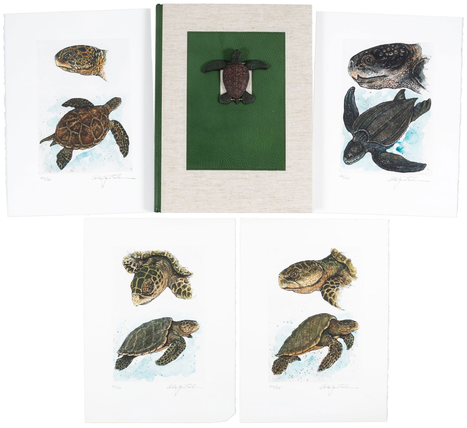 Robinson's Cheloniidae, deluxe edition (1 of 7)