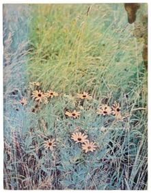 Woodstock program 1969