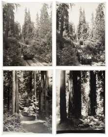 Seven photos of Muir Woods and railway