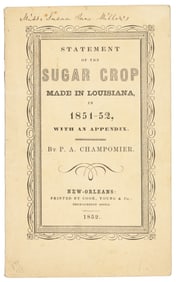 Sugar cane in Louisiana 1852