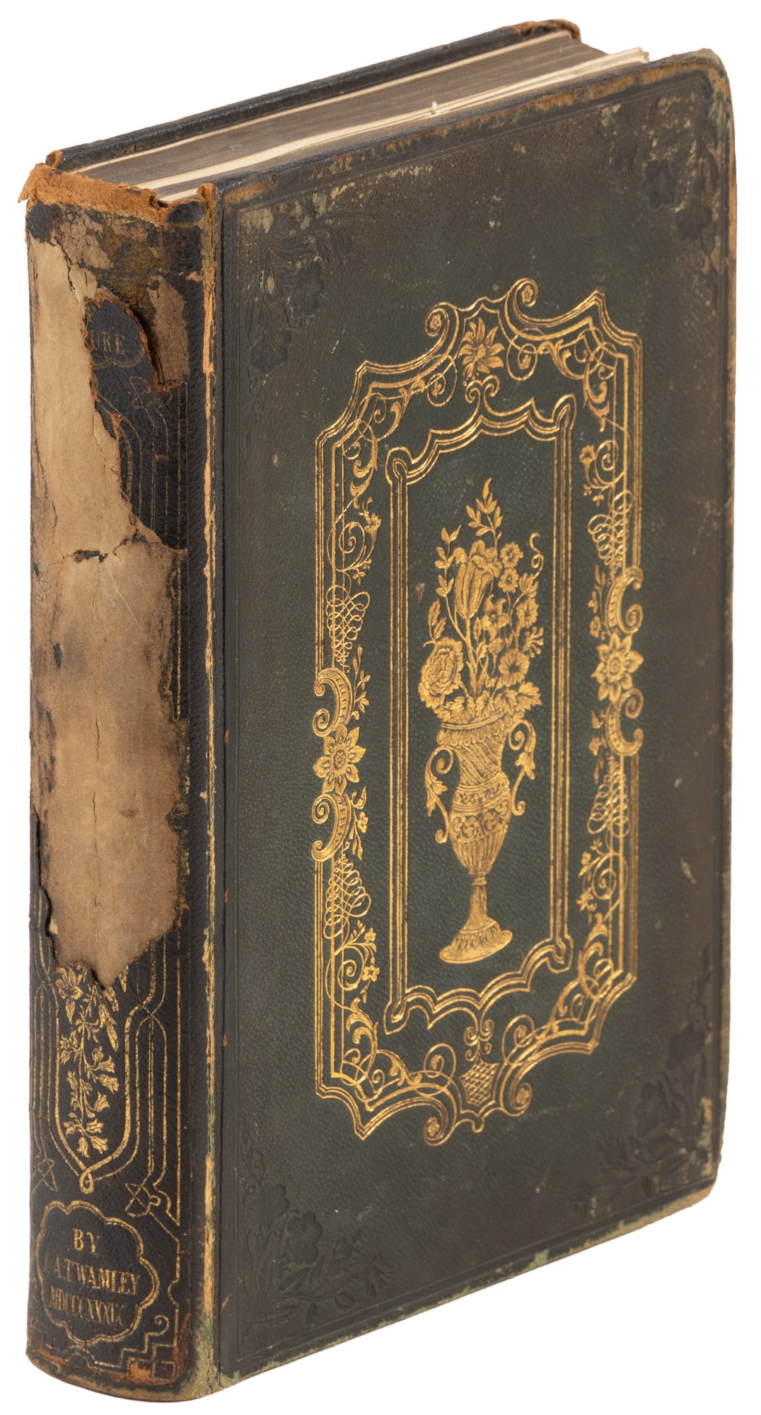 Many color plates of flowers by Twamley (1 of 5)