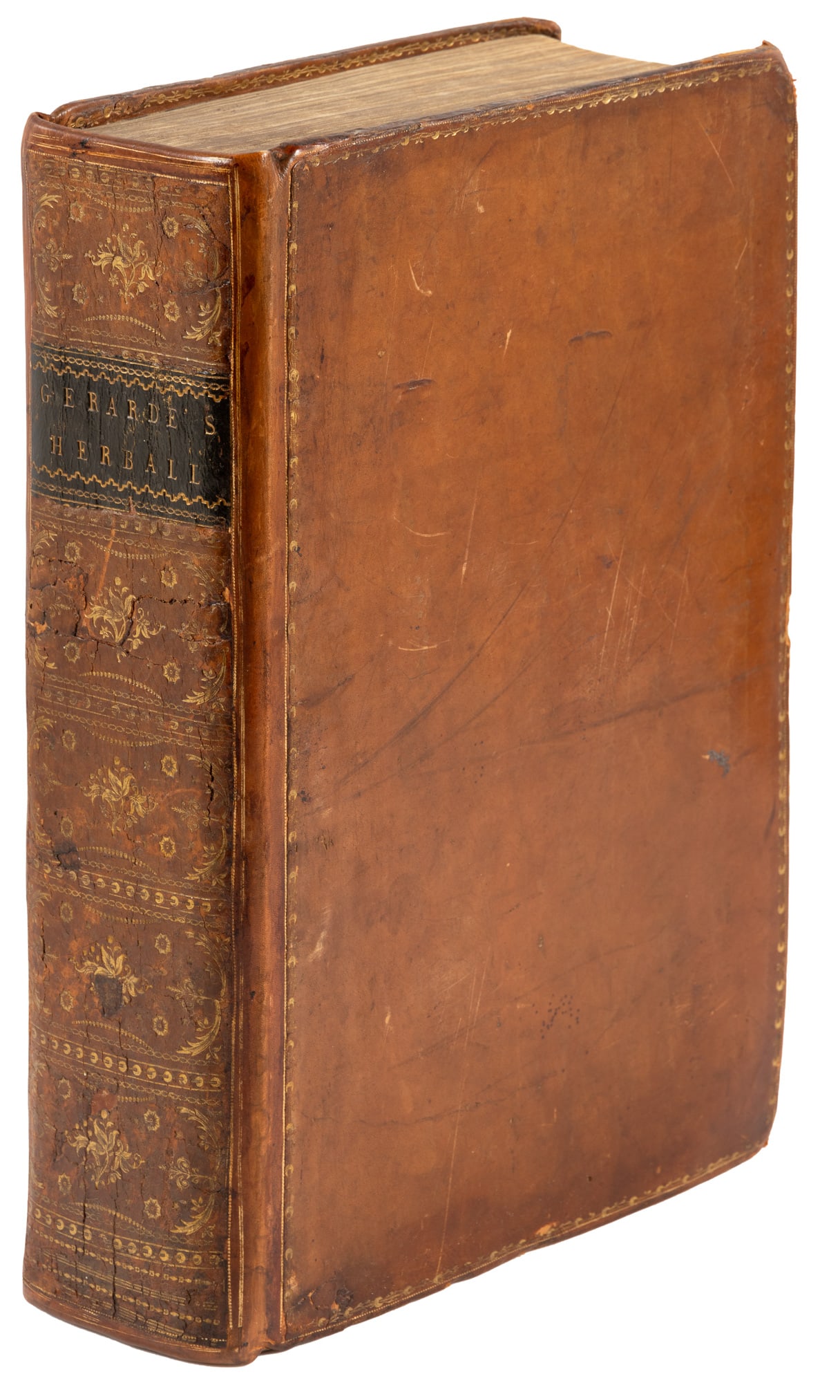 Gerard's massive Herbal, 1633: Heading: Author: Gerard, John Title: The Herball or Generall Historie of Plantes. Very much Enlarged and Amended by Thomas Johnson, Citizen and Apothecarye of London Place Published: London Publisher