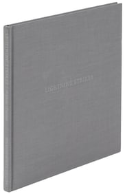 Lightning Strikes inscribed by Ferlinghetti