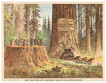 Color view of Big Trees on trade card